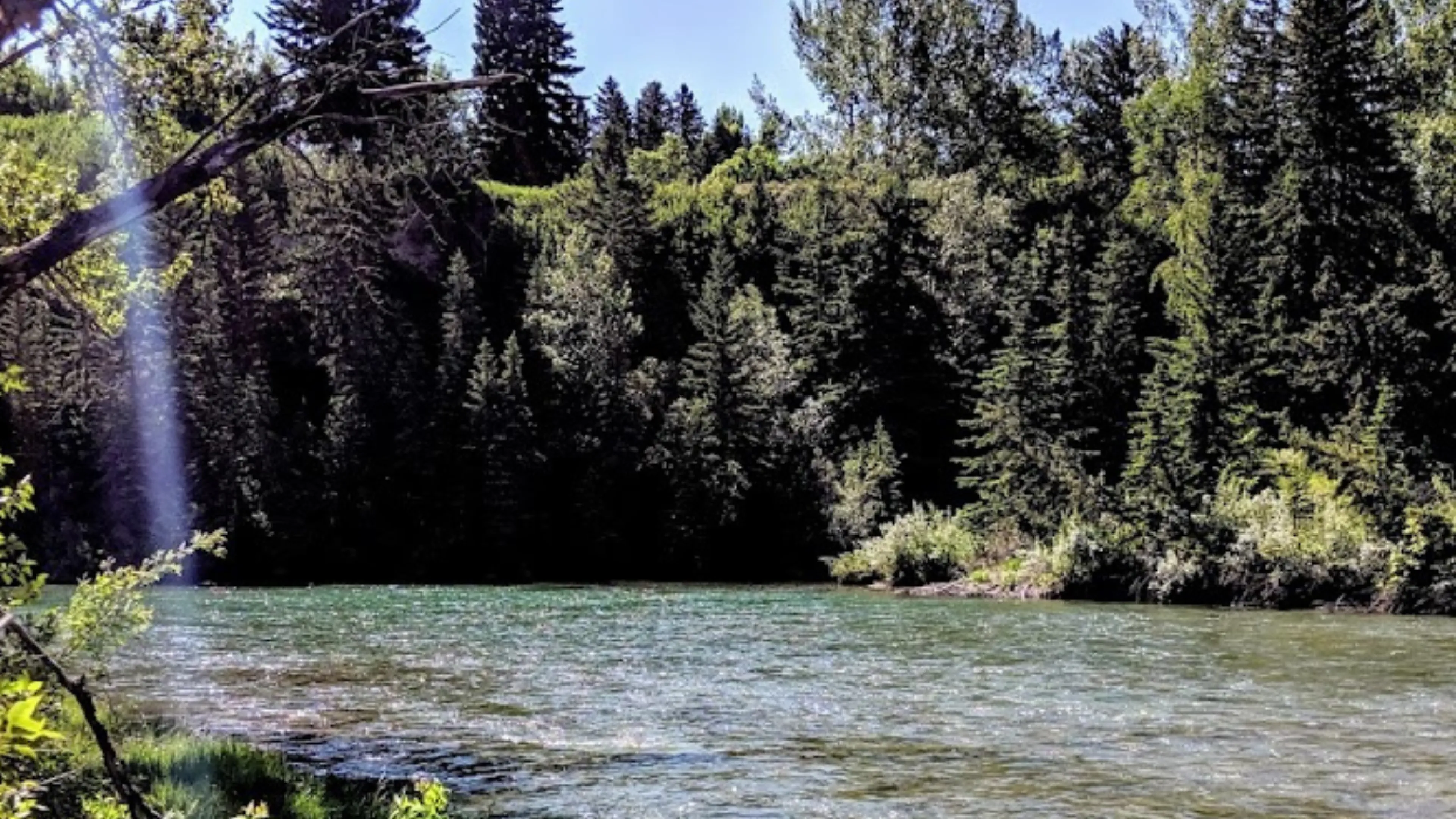 the river